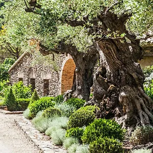 Domaine Les Mesanges Gasthuis